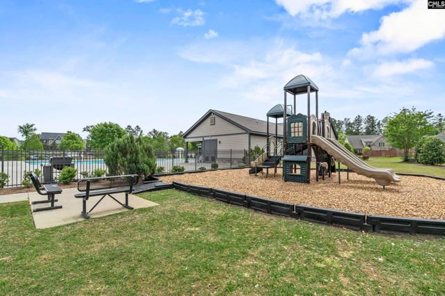 432 Sapphire Lane, Chapin, SC 29036