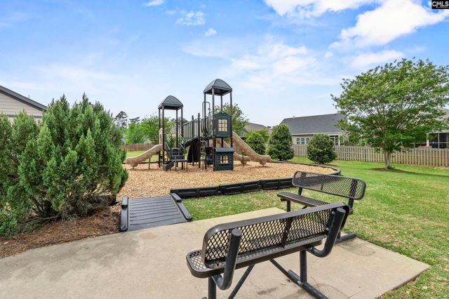 432 Sapphire Lane, Chapin, SC 29036