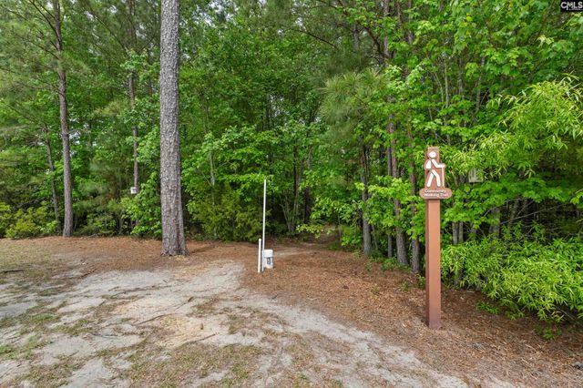 432 Sapphire Lane, Chapin, SC 29036