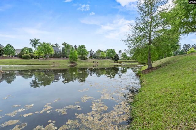 432 Sapphire Lane, Chapin, SC 29036