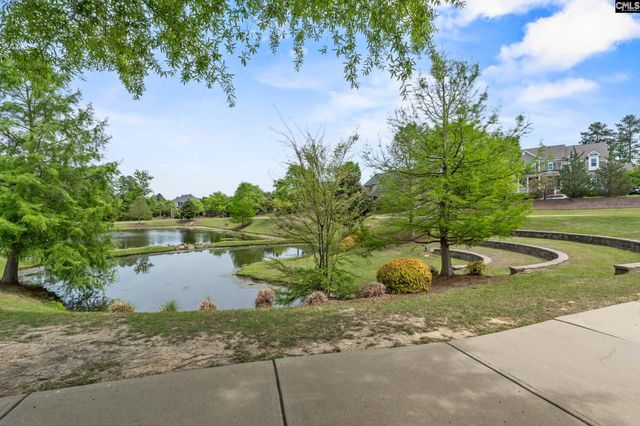 432 Sapphire Lane, Chapin, SC 29036