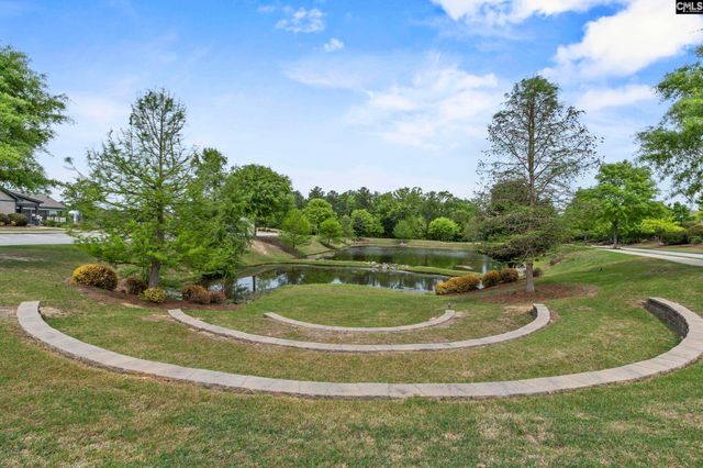 432 Sapphire Lane, Chapin, SC 29036