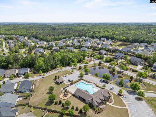 432 Sapphire Lane, Chapin, SC 29036