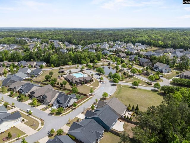 432 Sapphire Lane, Chapin, SC 29036