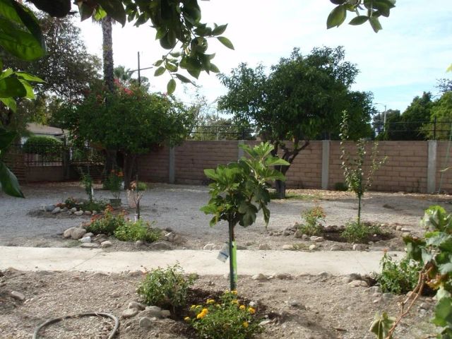 10756 N Haddon Avenue, Pacoima, CA 91331