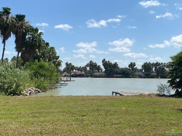 1003 Vela Jackson Avenue, La Joya, TX 78560