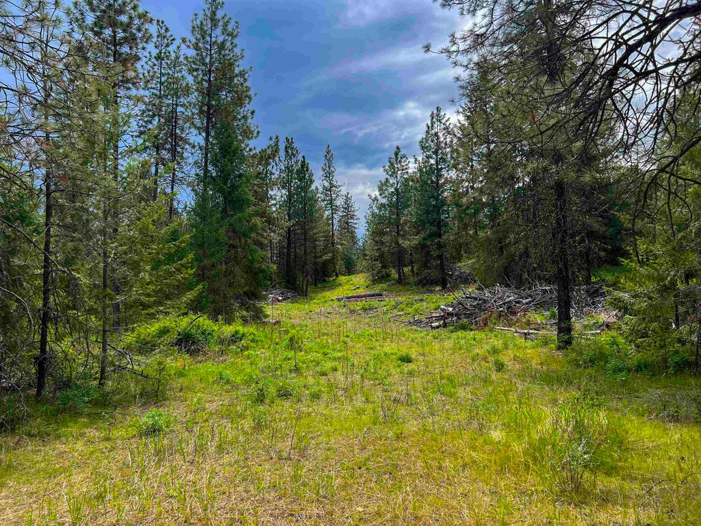 20XX Clemons Rd, Rice, WA 99167