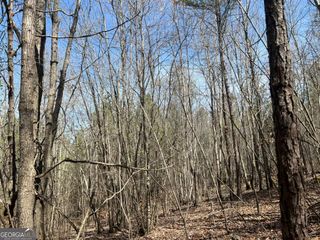 16 Unbridled Road 22, Rome, GA 30161
