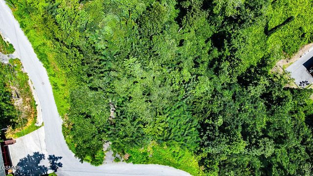 335 W Pinnacle Drive, Gatlinburg, TN 37738