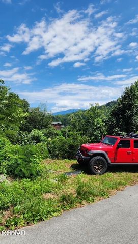335 W Pinnacle Drive, Gatlinburg, TN 37738