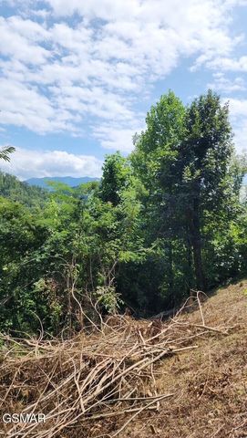 335 W Pinnacle Drive, Gatlinburg, TN 37738