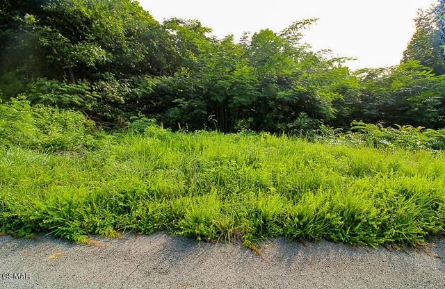 335 W Pinnacle Drive, Gatlinburg, TN 37738