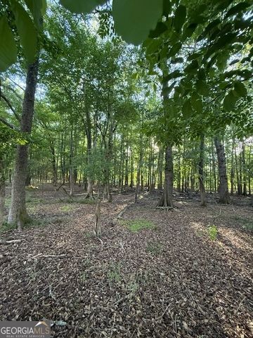 LOT 2 SOUTH OF Redwine Road LOT 2 SOUTH OF 1585, Fayetteville, GA 30215