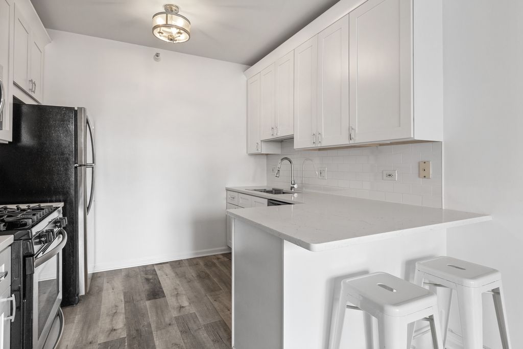 600 N Dearborn Street 1707, Chicago, IL 60654 — photo 4