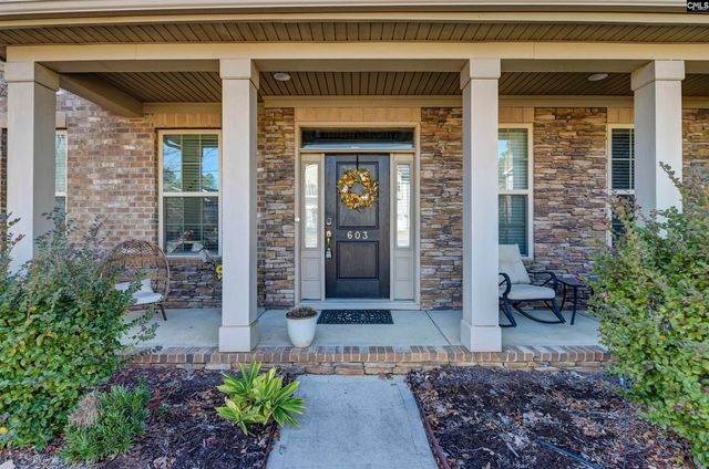 603 RIVERDALE Court, Chapin, SC 29036