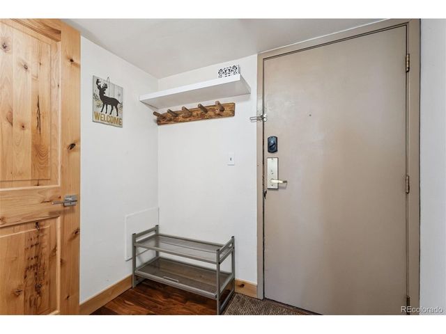 423 Wild Irishman Rd 13204, Dillon, CO 80435