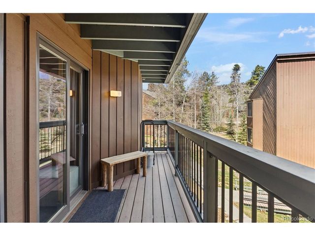 423 Wild Irishman Rd 13204, Dillon, CO 80435