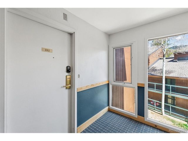 423 Wild Irishman Rd 13204, Dillon, CO 80435