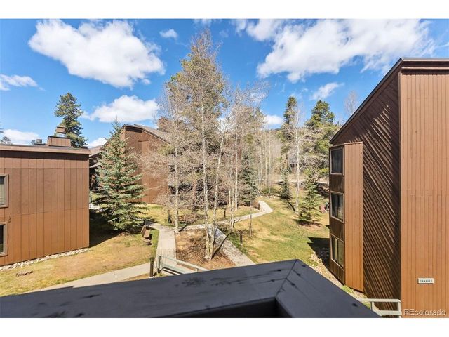 423 Wild Irishman Rd 13204, Dillon, CO 80435