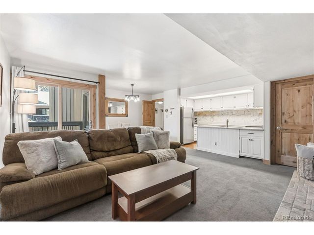423 Wild Irishman Rd 13204, Dillon, CO 80435