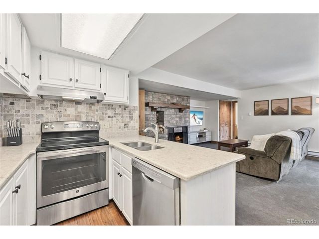 423 Wild Irishman Rd 13204, Dillon, CO 80435
