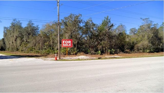 TBD CORNER LOT 175TH STREET ROAD NE, Citra, FL 32113