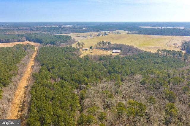 14470 & 14450 BACKBONE RD, Eden, MD 21822