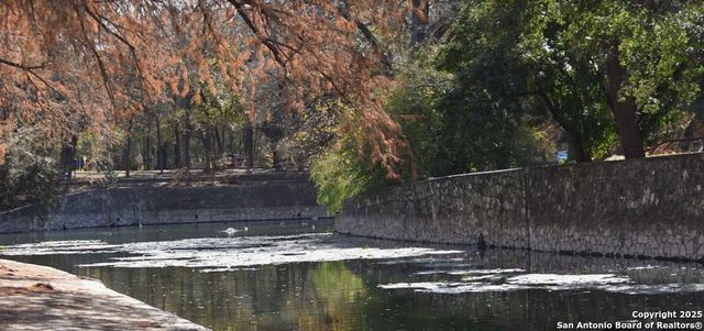 710 E Huisache Ave, San Antonio, TX 78212