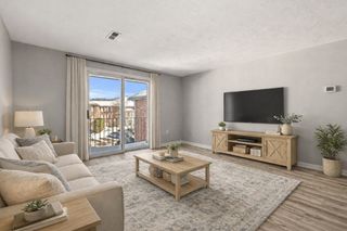 354 Neponset St M, Canton, MA 02021