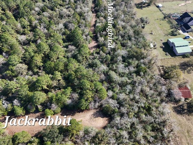 28802 Jackrabbit-All Drive, Hempstead, TX 77445
