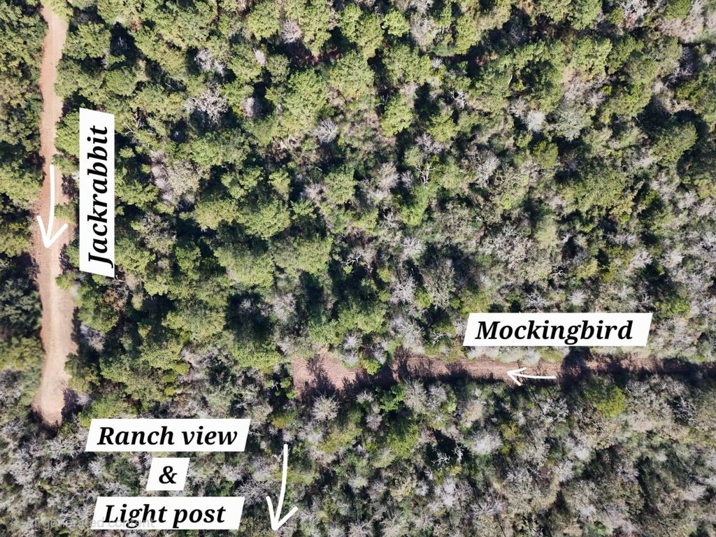 28802 Jackrabbit-All Drive, Hempstead, TX 77445