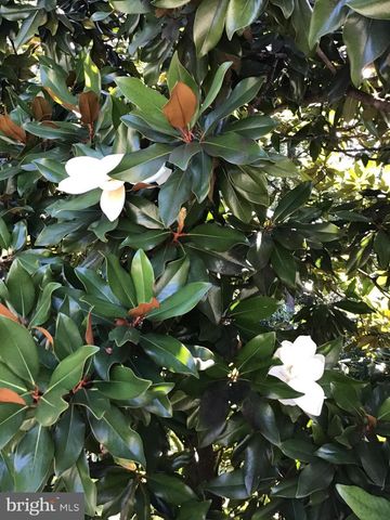 1239 DALEVIEW DR, Mclean, VA 22102