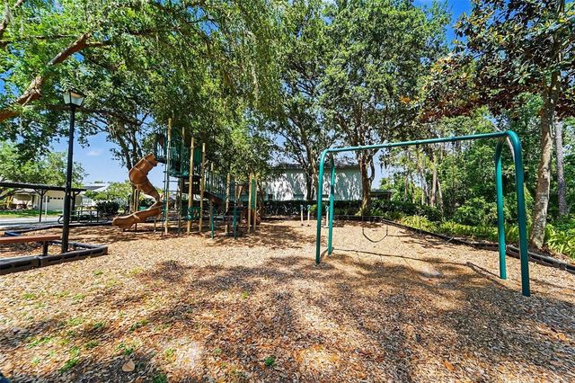 19717 WYNDHAM LAKES DRIVE, Odessa, FL 33556