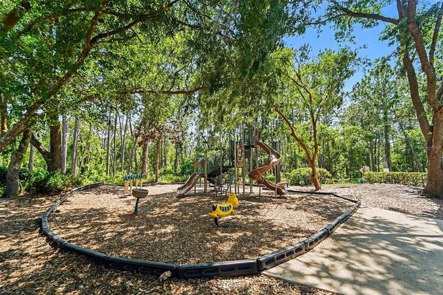19717 WYNDHAM LAKES DRIVE, Odessa, FL 33556