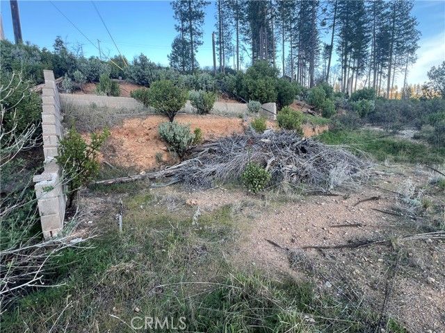 16789 Starview Loop, Cobb, CA 95426