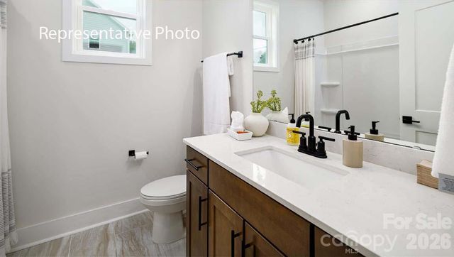 3117 Spring Iris Drive, Denver, NC 28037