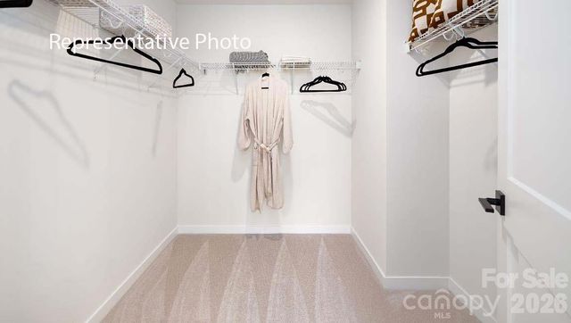 3117 Spring Iris Drive, Denver, NC 28037