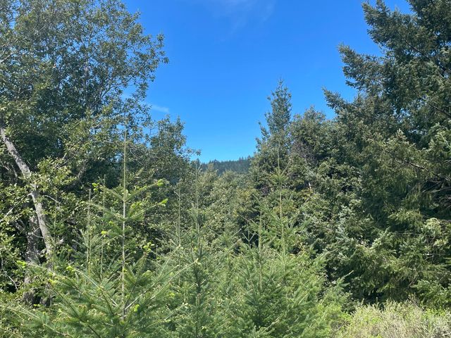 00 Raintree Circle, Whitethorn, CA 95589