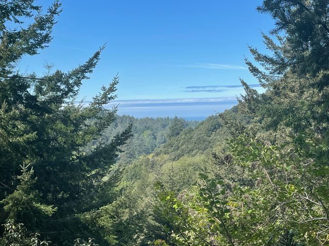 00 Raintree Circle, Whitethorn, CA 95589