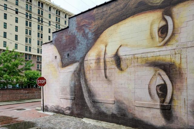 1145 N High Street, 307 307, Columbus, OH 43201