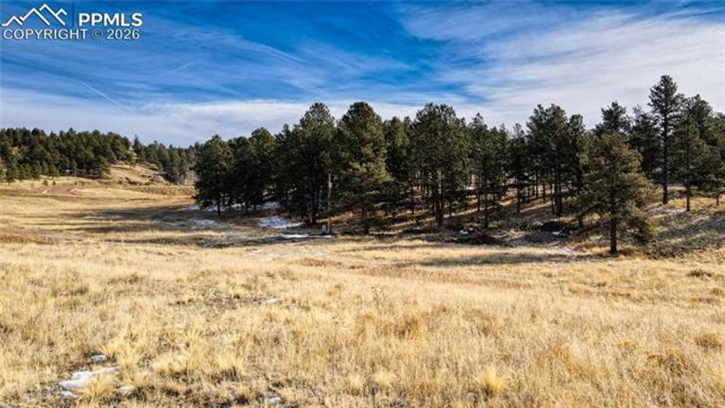 150 High Pasture Road, Florissant, CO 80816 — photo 3