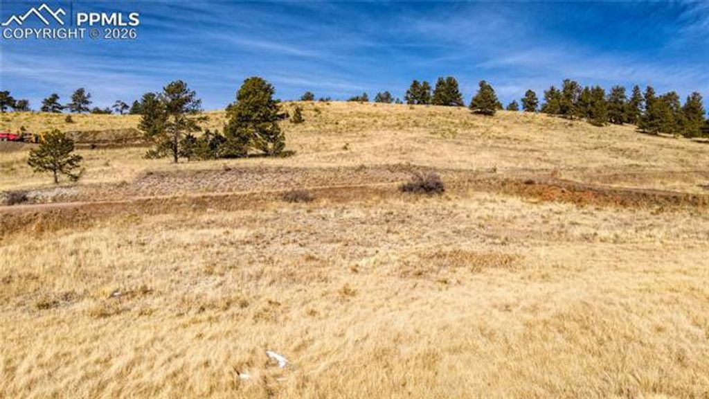 150 High Pasture Road, Florissant, CO 80816 — photo 5