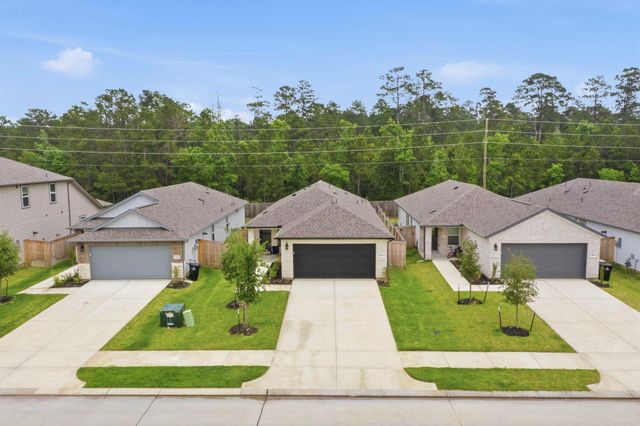 16687 Sterling Cliff Street, Conroe, TX 77302