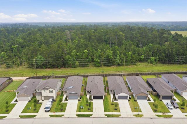 16687 Sterling Cliff Street, Conroe, TX 77302