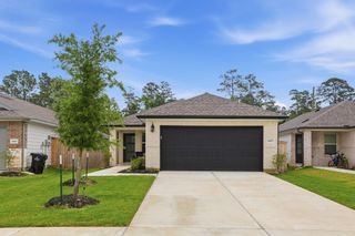 16687 Sterling Cliff Street, Conroe, TX 77302