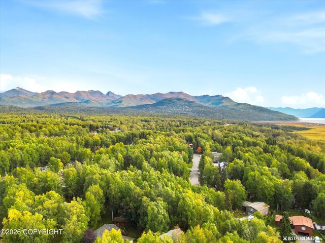 13770 Arne Erickson Circle, Anchorage, AK 99515