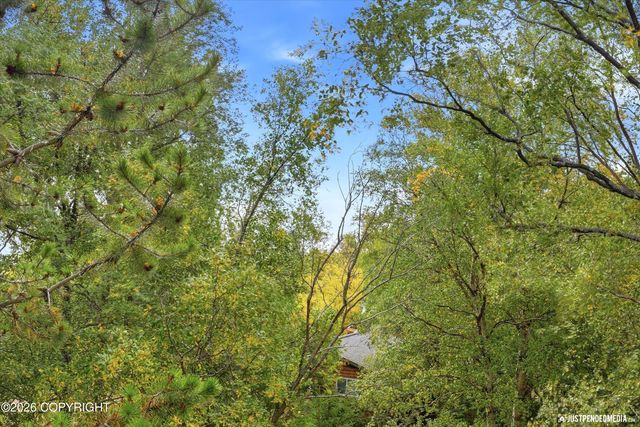 13770 Arne Erickson Circle, Anchorage, AK 99515