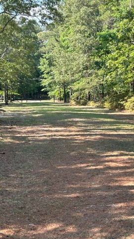 2551 Patriot Road, Manning, SC 29102