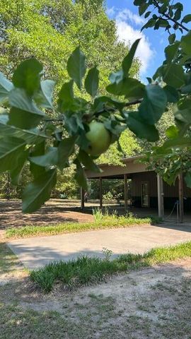 2551 Patriot Road, Manning, SC 29102