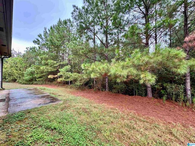 14699 GRIFFIN STREET, Tuscaloosa, AL 35405